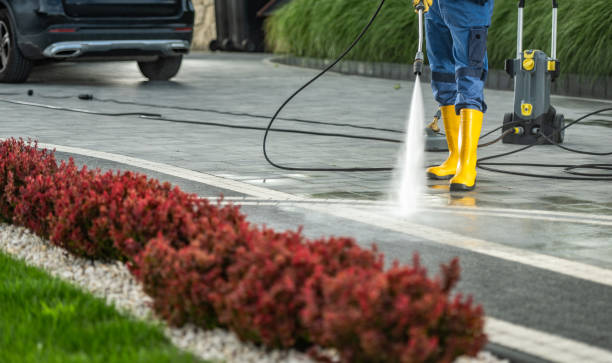 Best Dumpster Area Cleaning  in Donald, OR